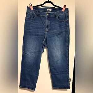 Lane Bryant Flex Magic Waistband Signature Fit High Rise Jeans - size 24